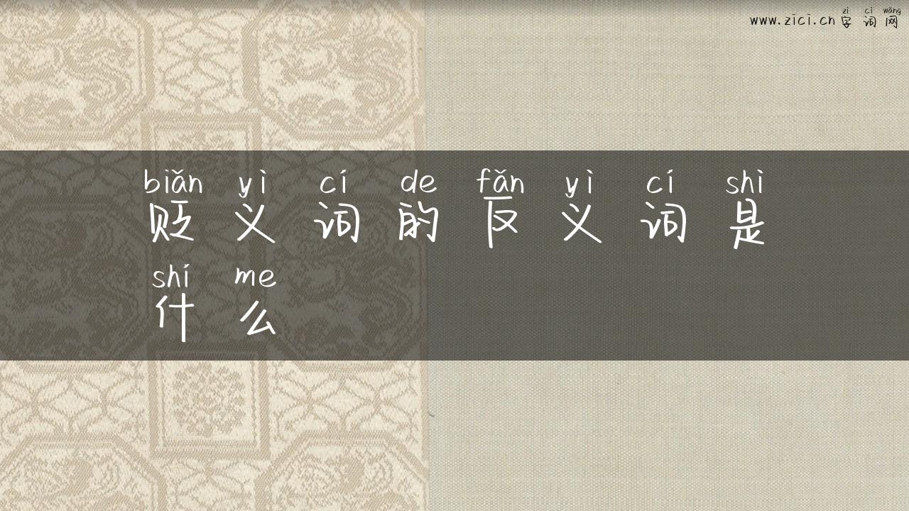 贬义词的反义词是什么