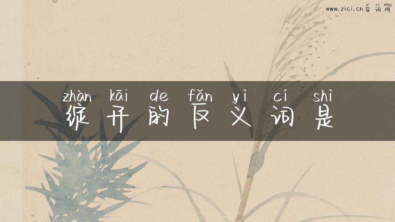 绽开的反义词是