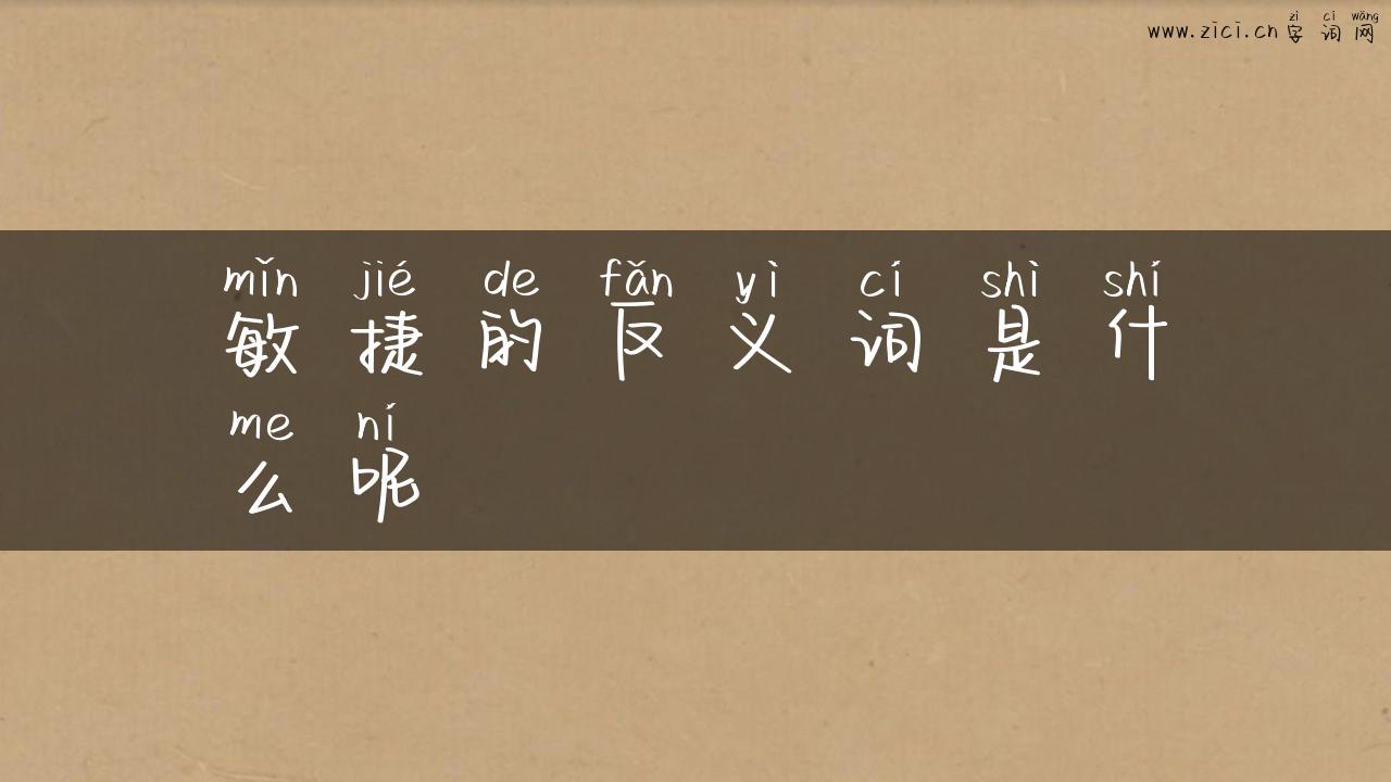 敏捷的反义词是什么呢