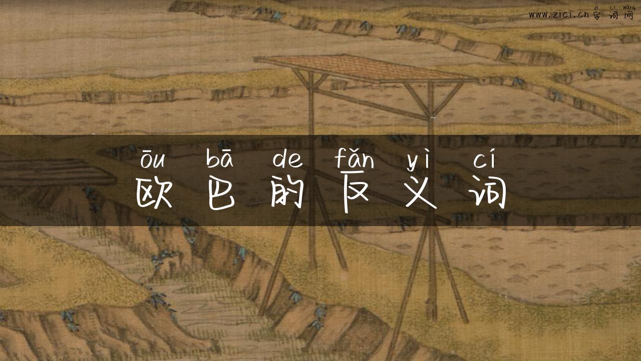 欧巴的反义词