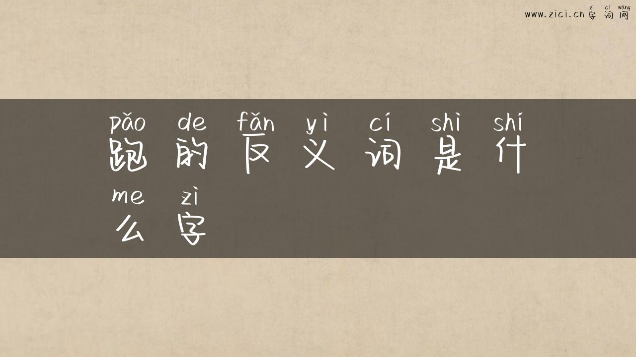 跑的反义词是什么字