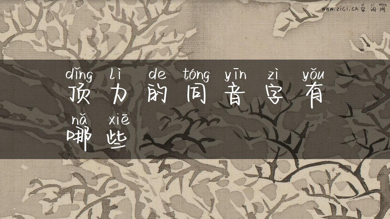 顶力的同音字有哪些