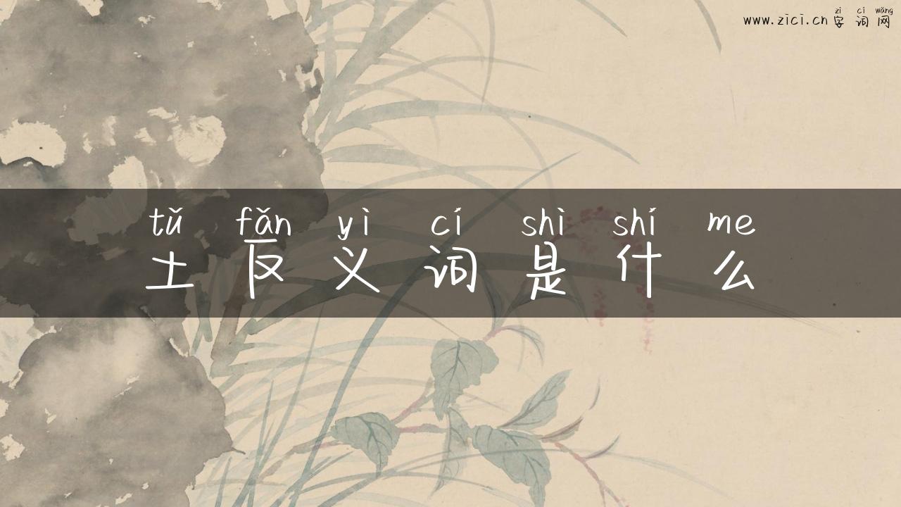 土反义词是什么