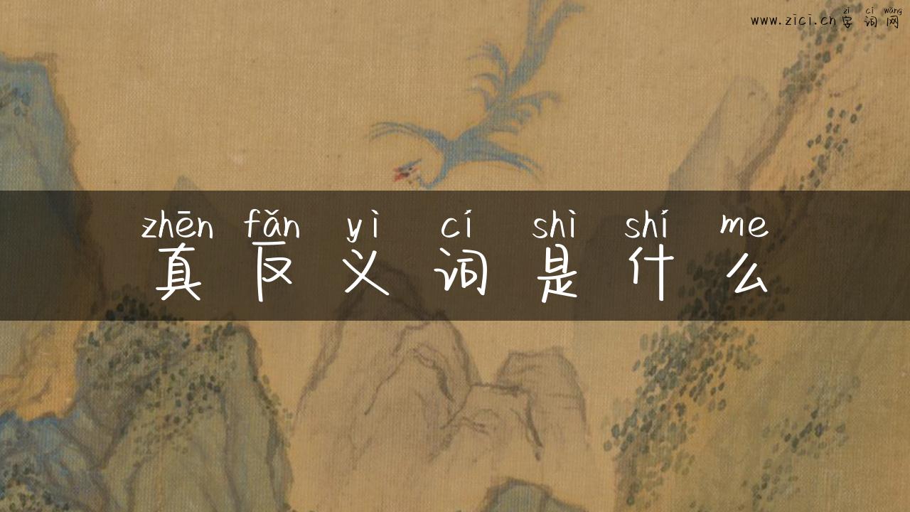 真反义词是什么