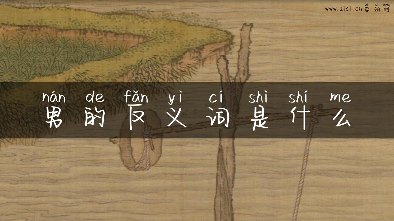 男的反义词是什么