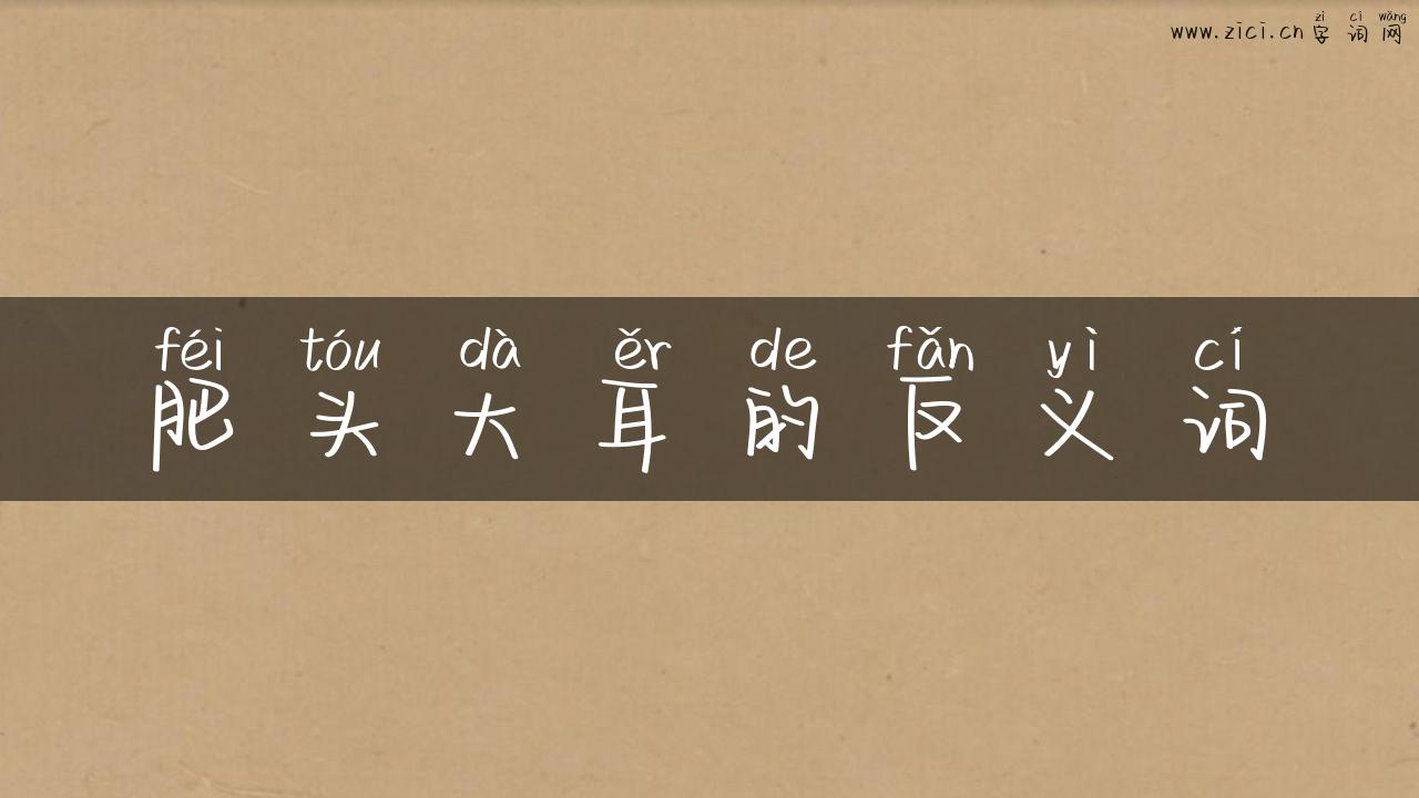 肥头大耳的反义词