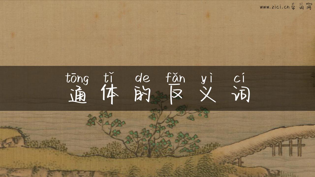 通体的反义词