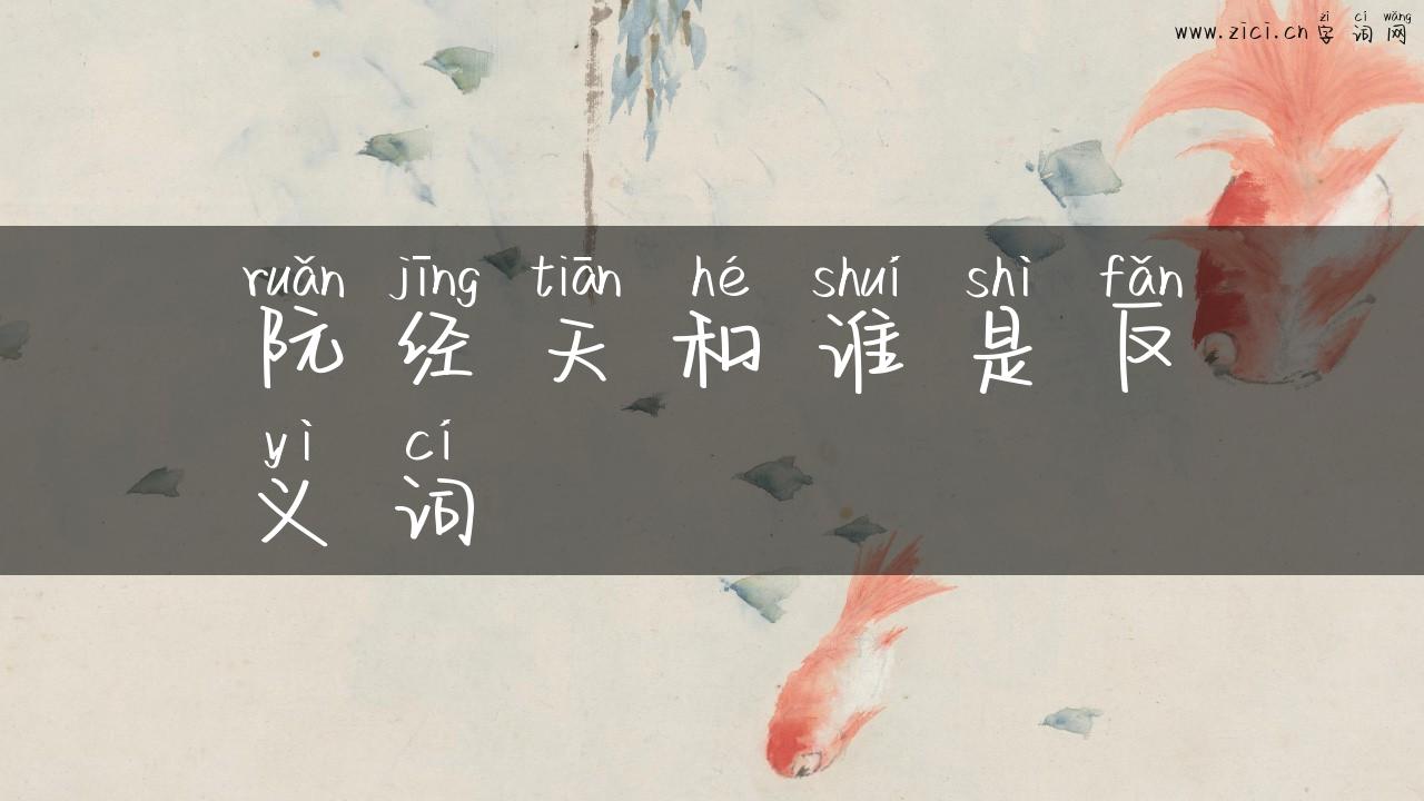 阮经天和谁是反义词