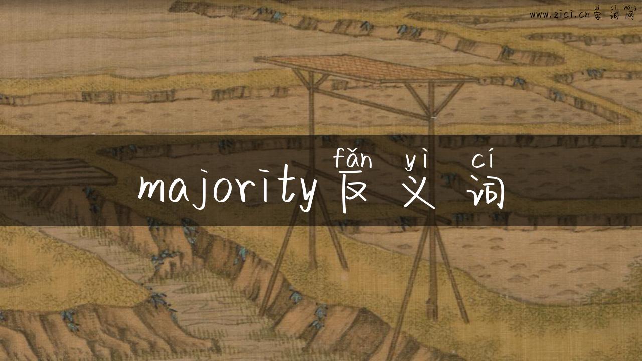 majority反义词