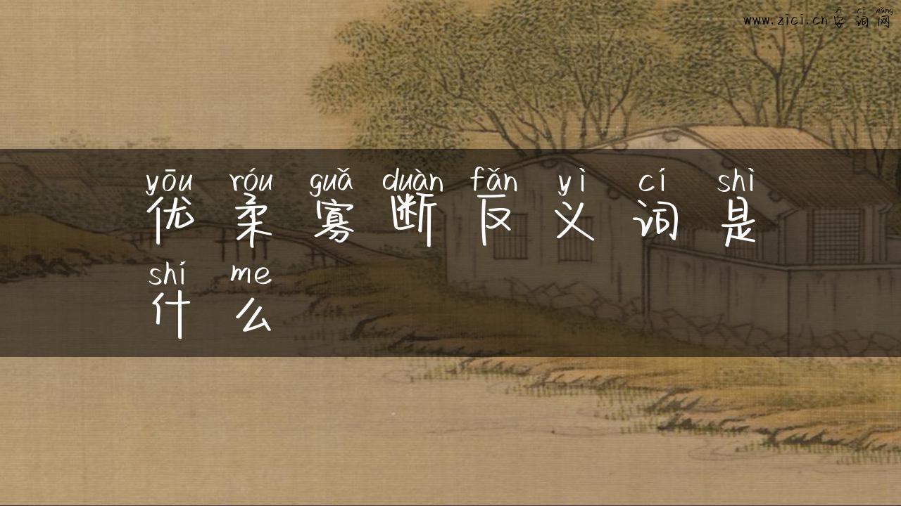 优柔寡断反义词是什么