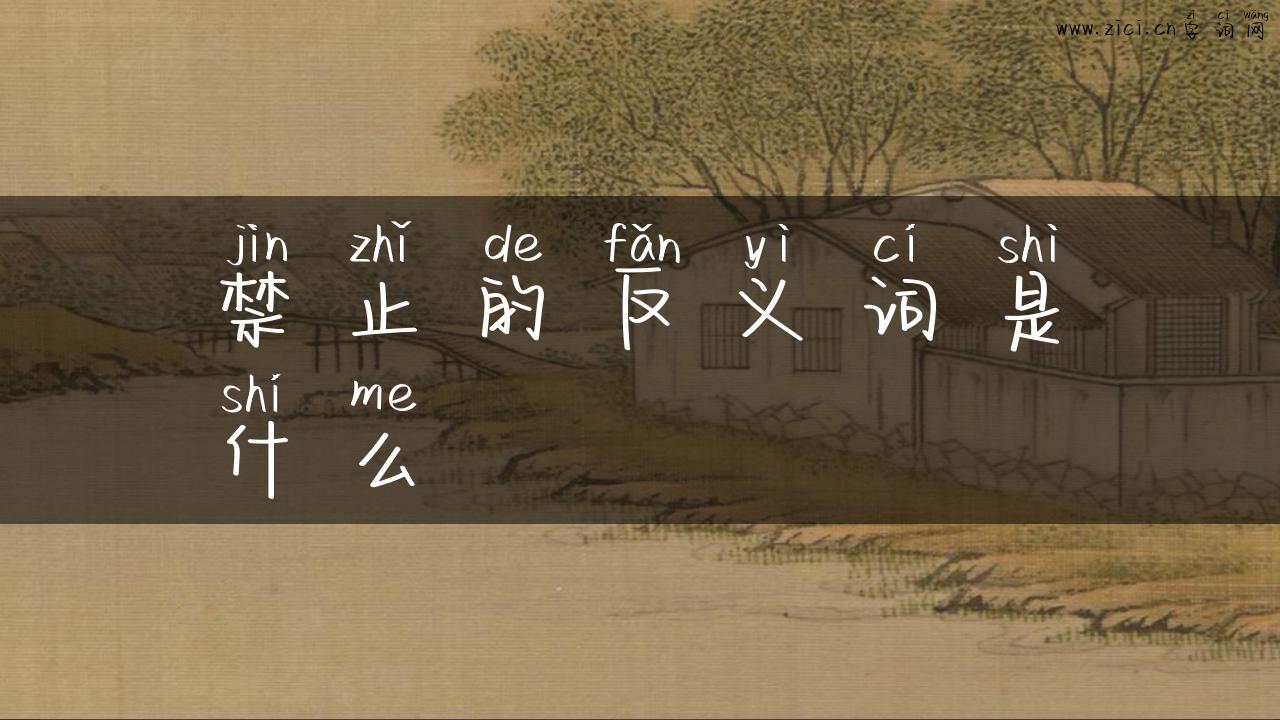 禁止的反义词是什么