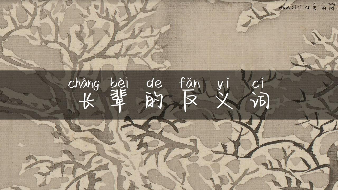 长辈的反义词