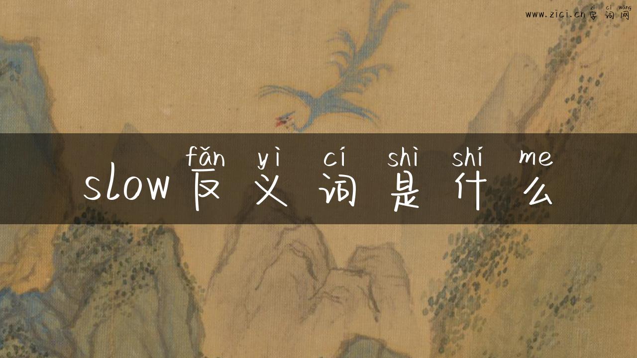 slow反义词是什么
