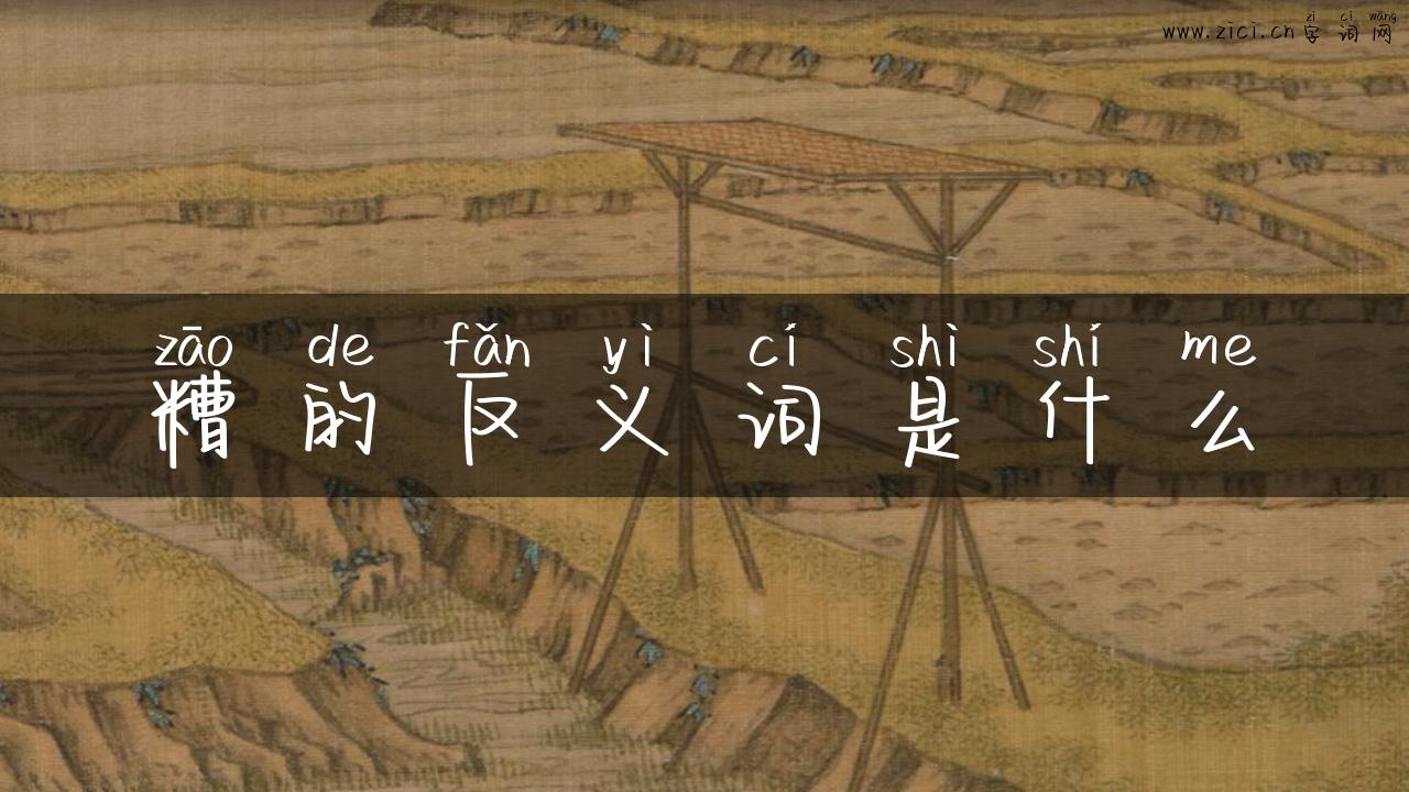 糟的反义词是什么