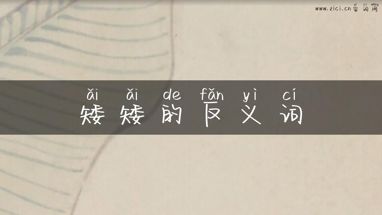 矮矮的反义词