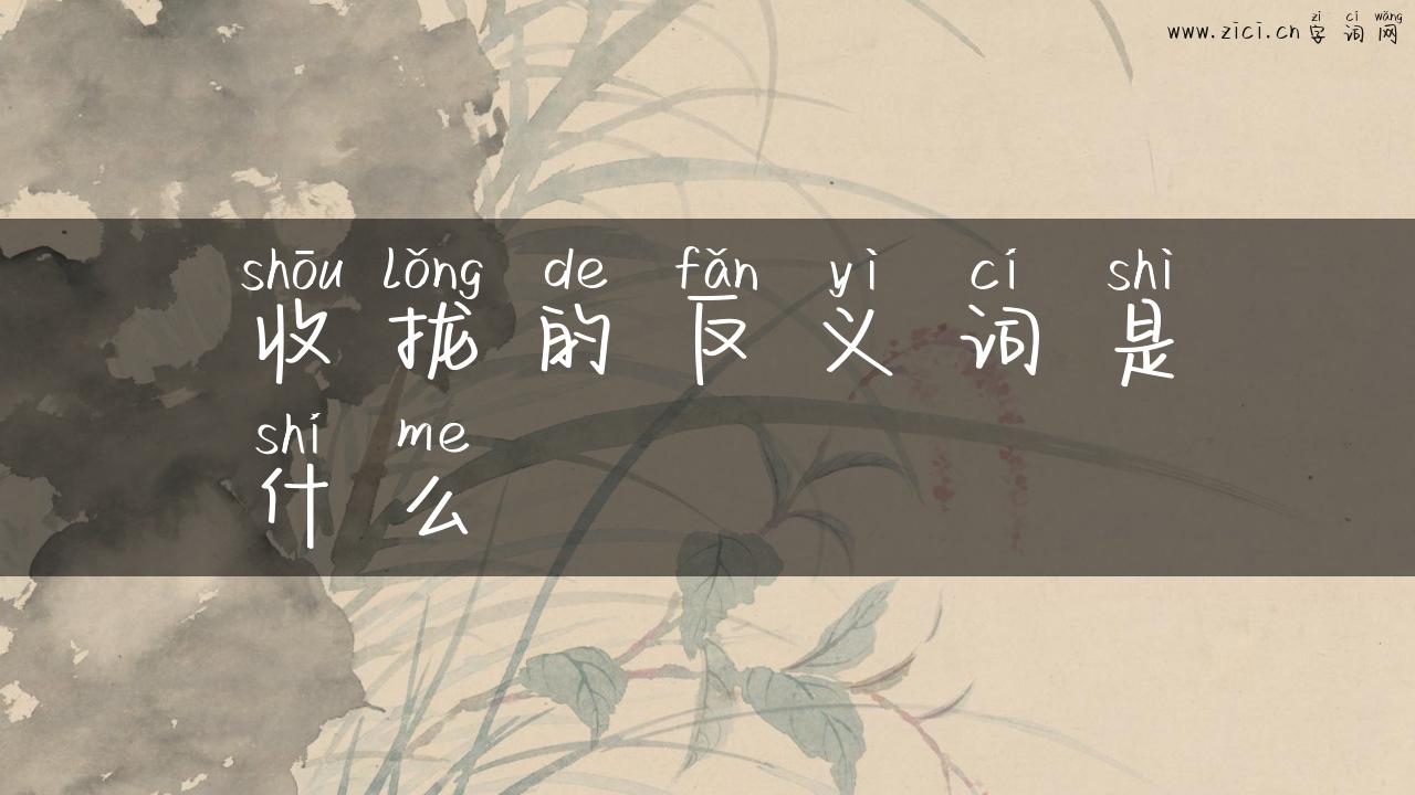 收拢的反义词是什么