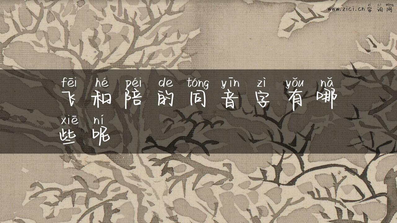 飞和陪的同音字有哪些呢
