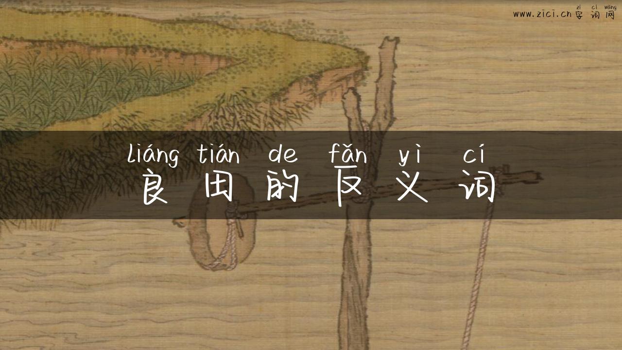 良田的反义词