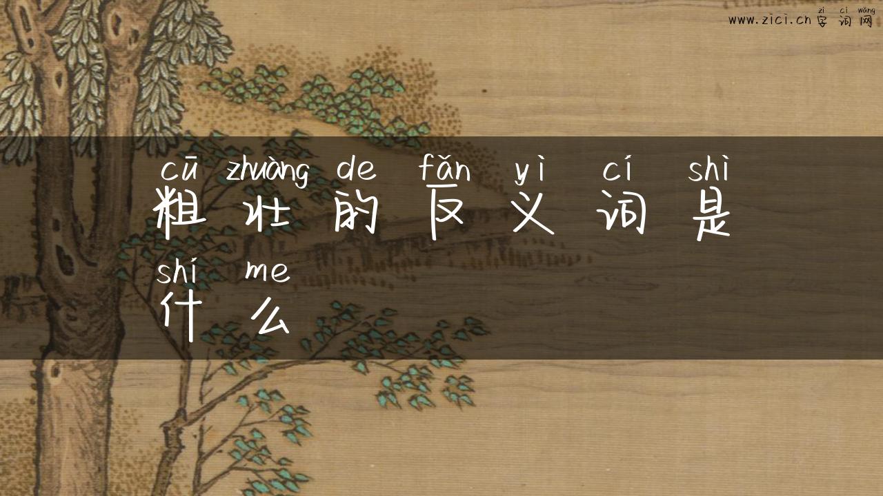 粗壮的反义词是什么