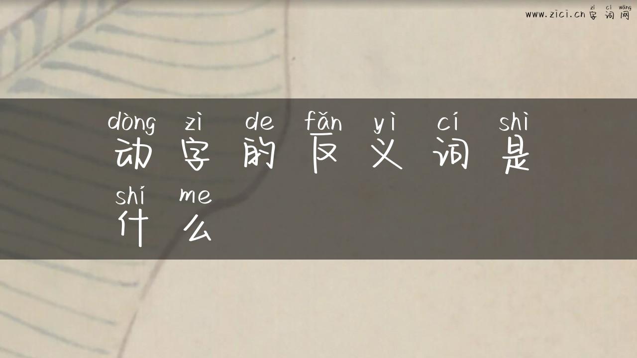 动字的反义词是什么