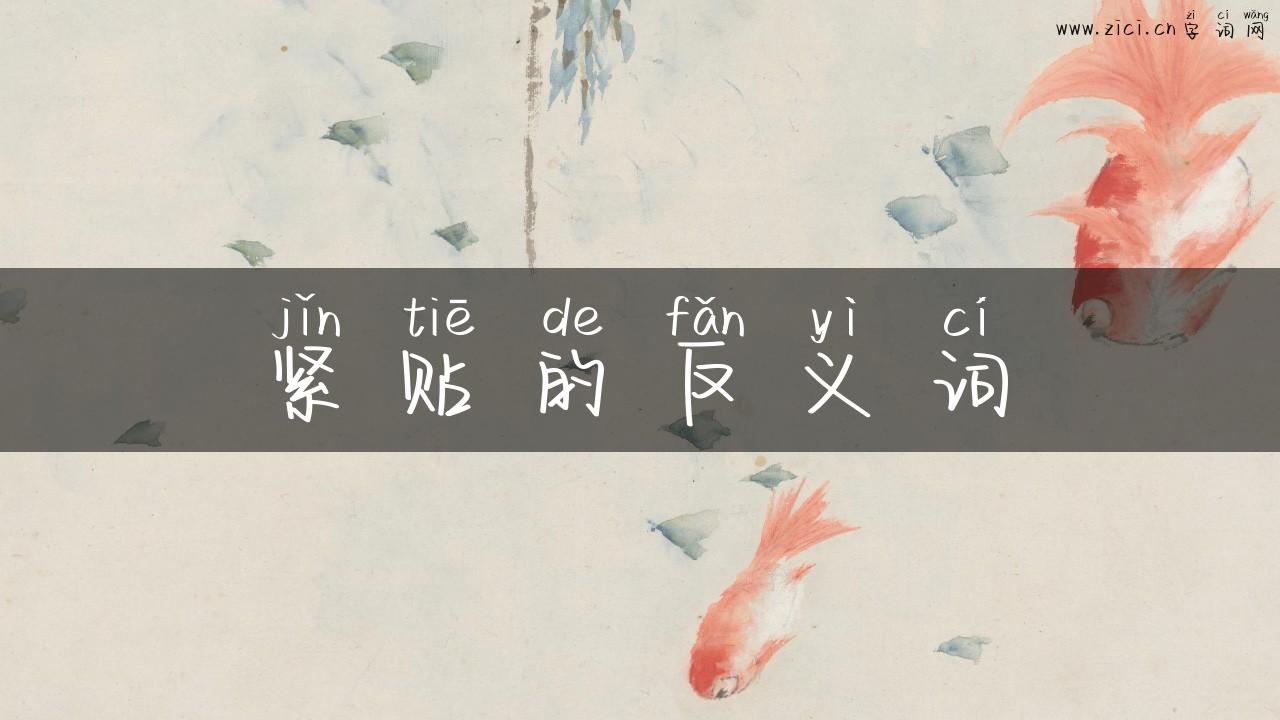 紧贴的反义词