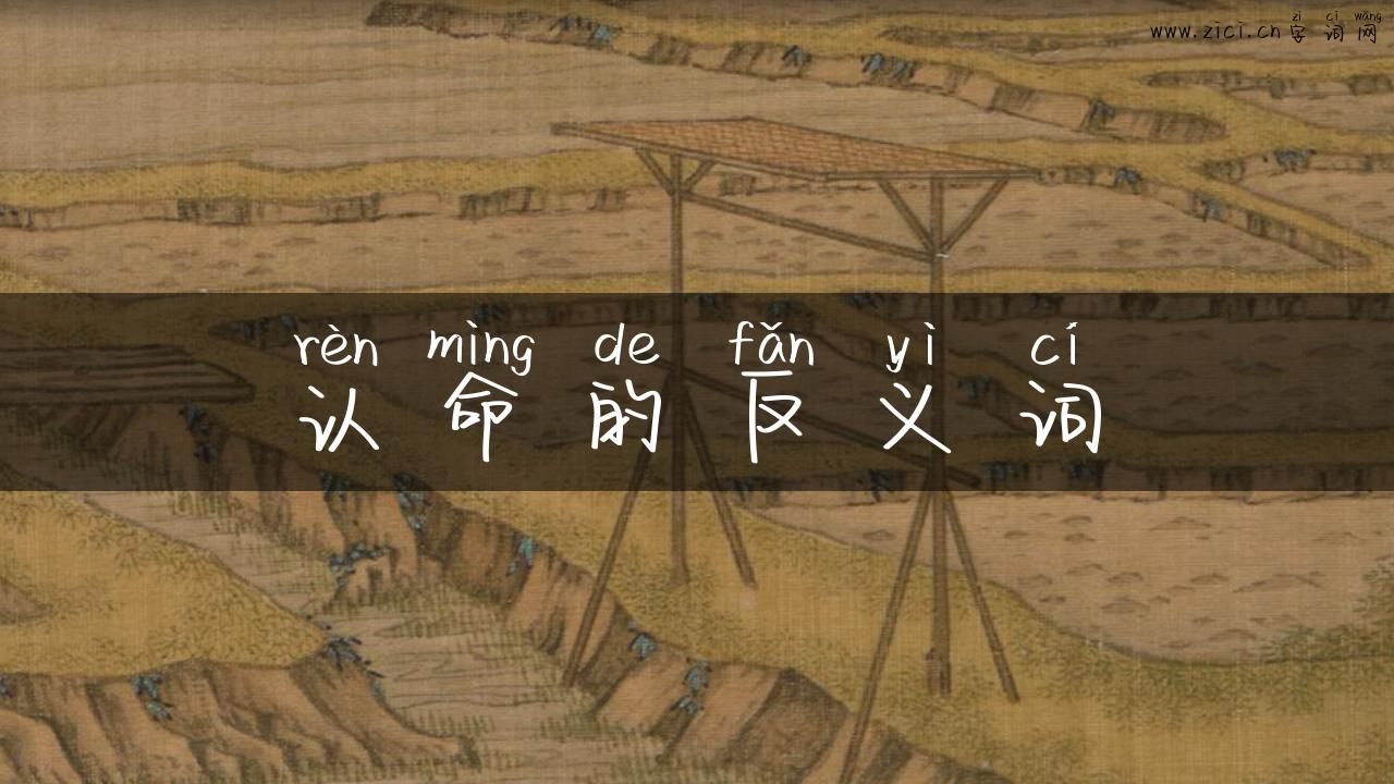 认命的反义词