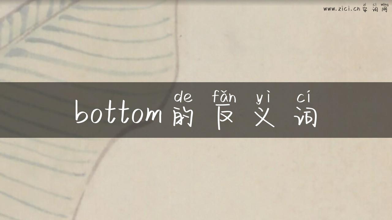 bottom的反义词
