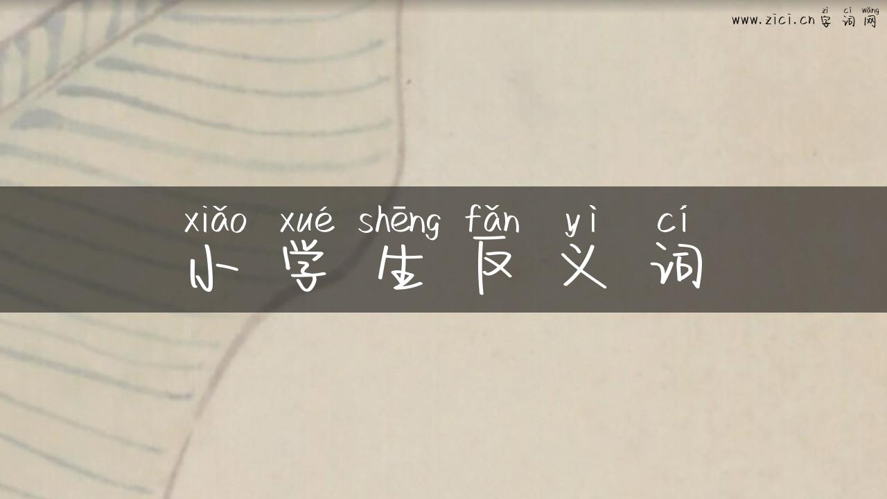 小学生反义词