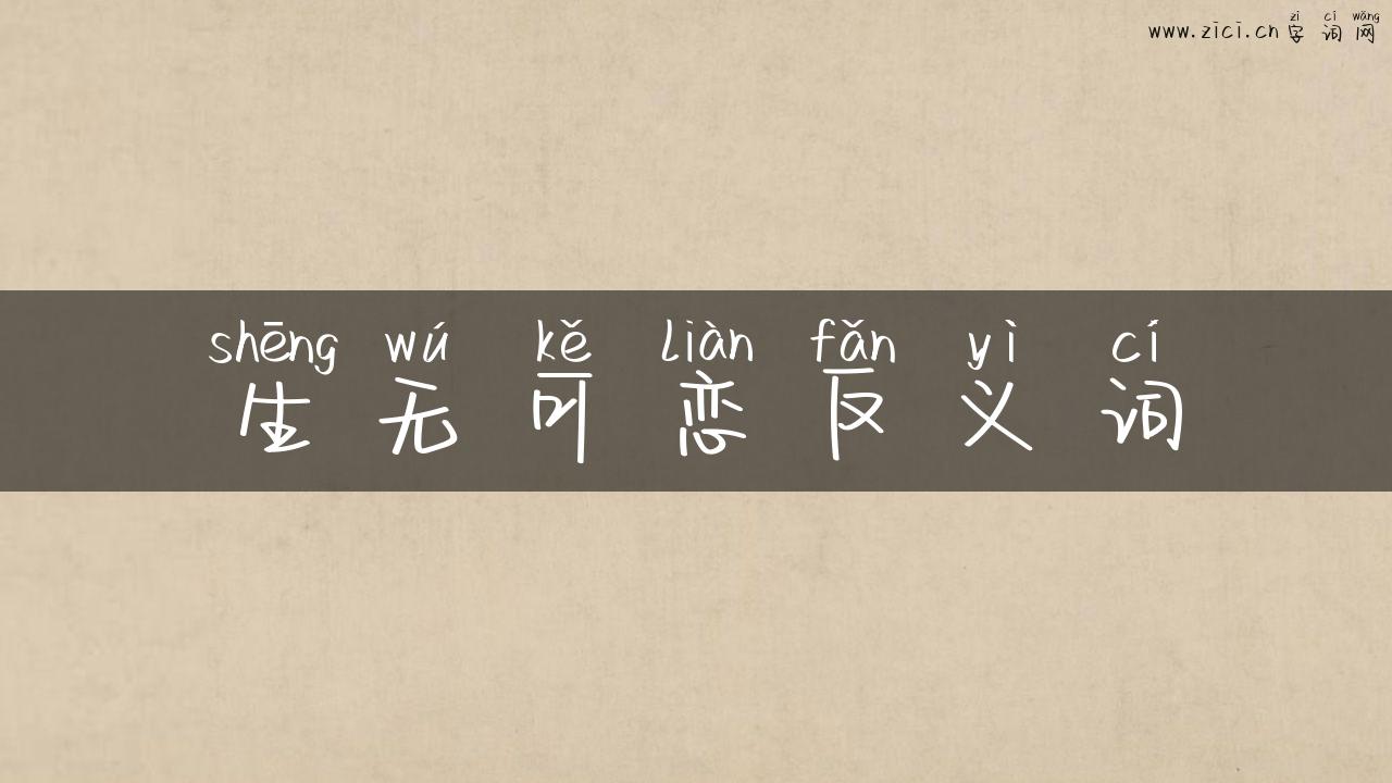 生无可恋反义词