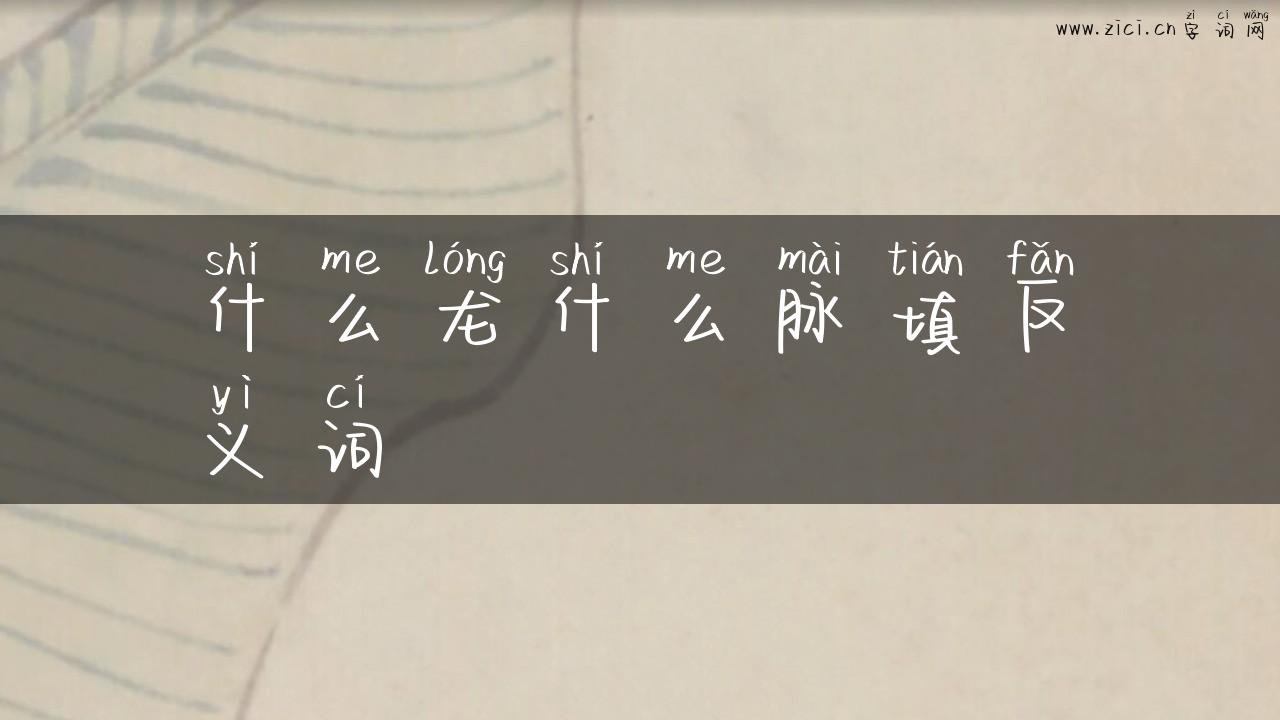 什么龙什么脉填反义词