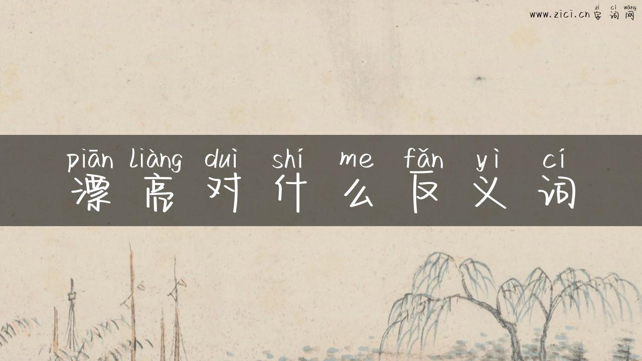 漂亮对什么反义词