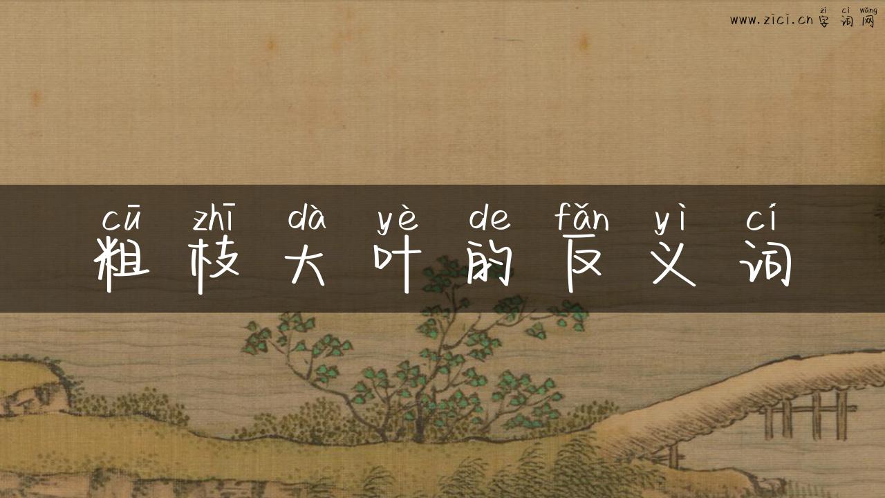 粗枝大叶的反义词