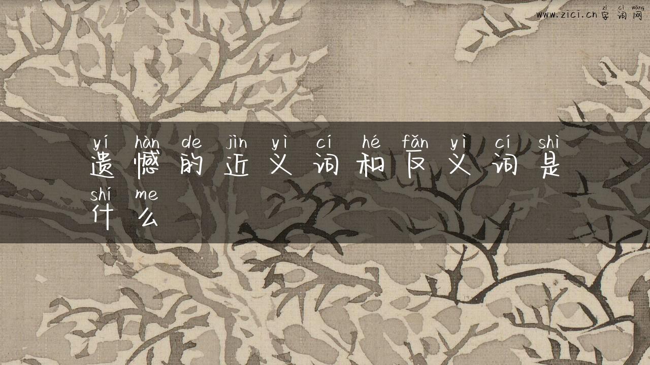 遗憾的近义词和反义词是什么