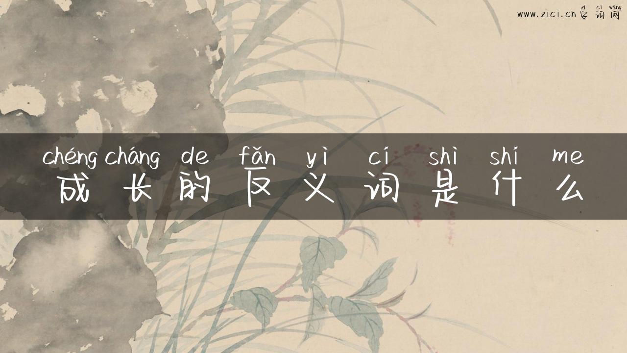 成长的反义词是什么