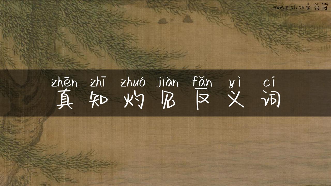 真知灼见反义词