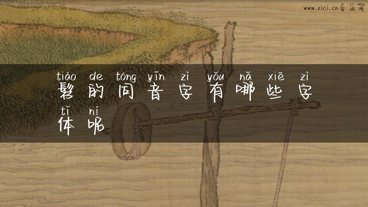 髫的同音字有哪些字体呢