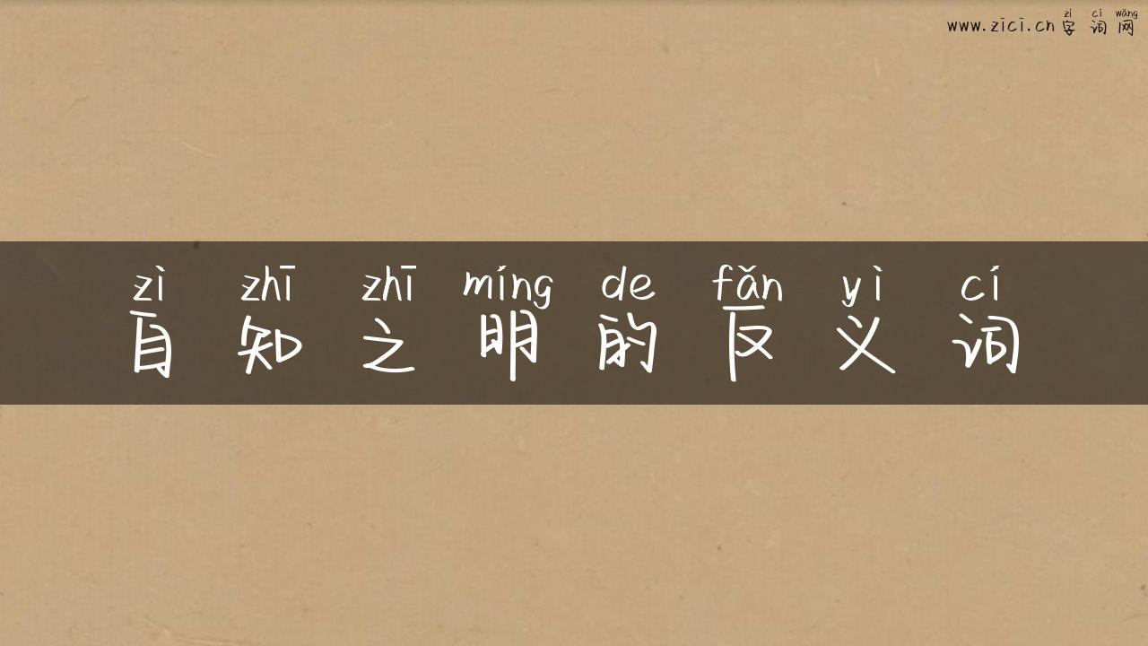 自知之明的反义词