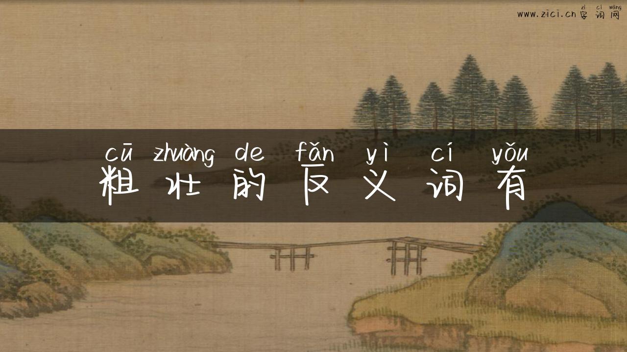 粗壮的反义词有