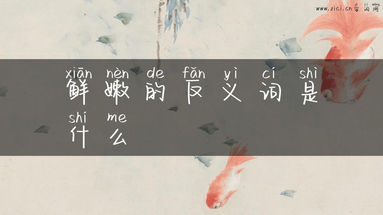 鲜嫩的反义词是什么