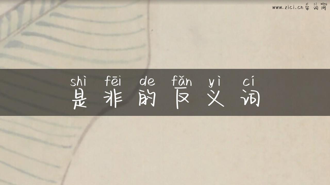是非的反义词