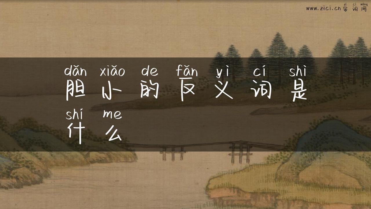 胆小的反义词是什么