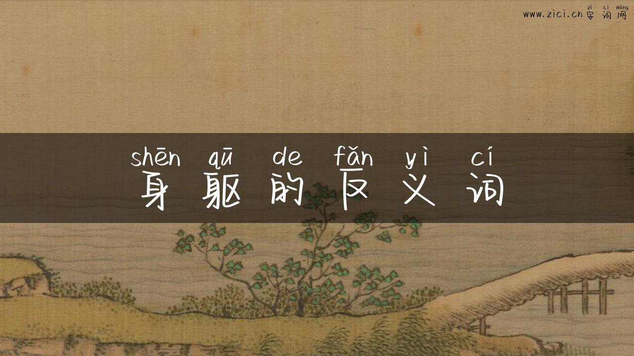 身躯的反义词