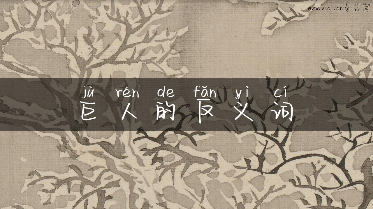 巨人的反义词