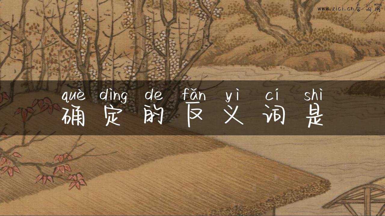 确定的反义词是