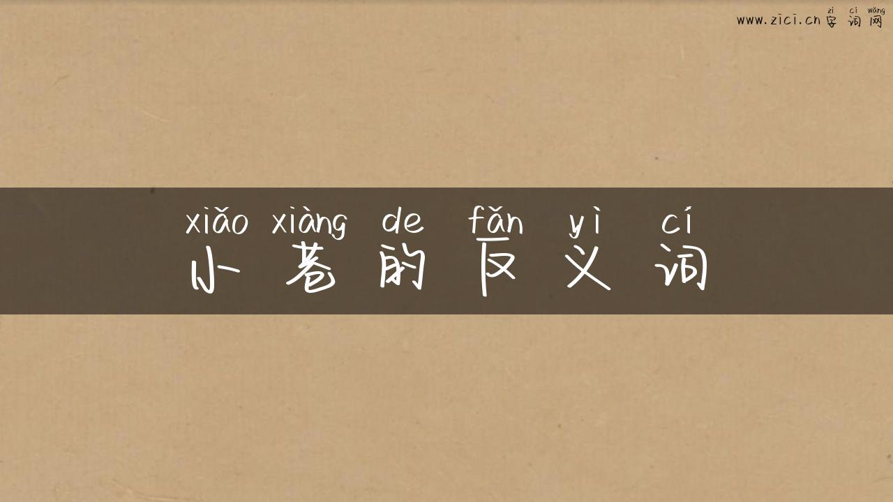 小巷的反义词