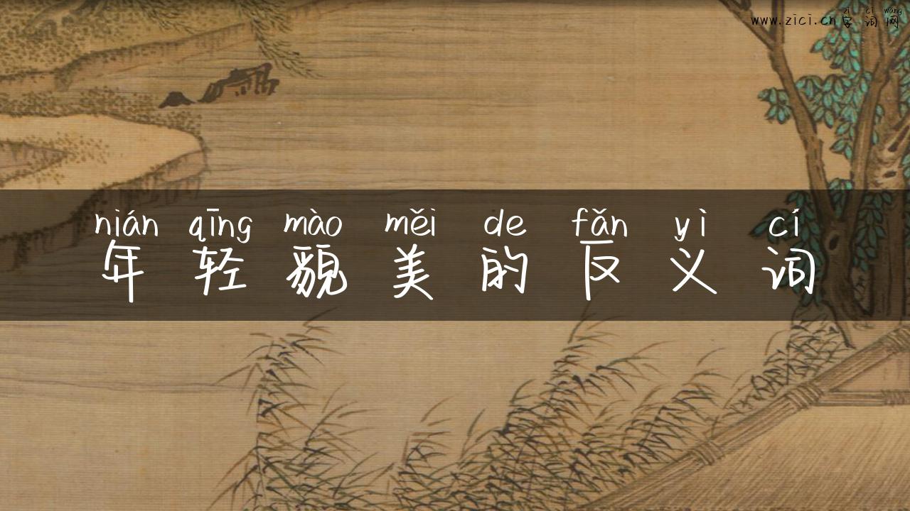 年轻貌美的反义词