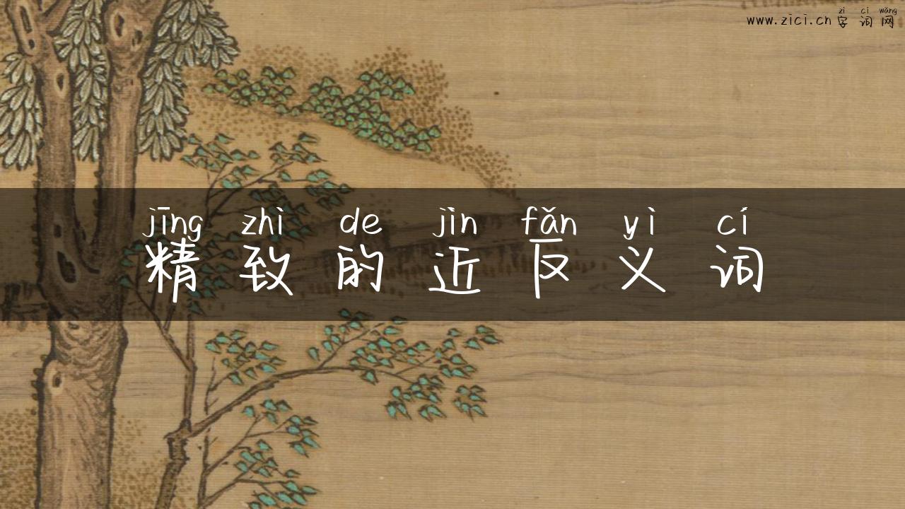 精致的近反义词