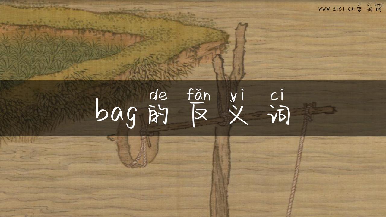 bag的反义词