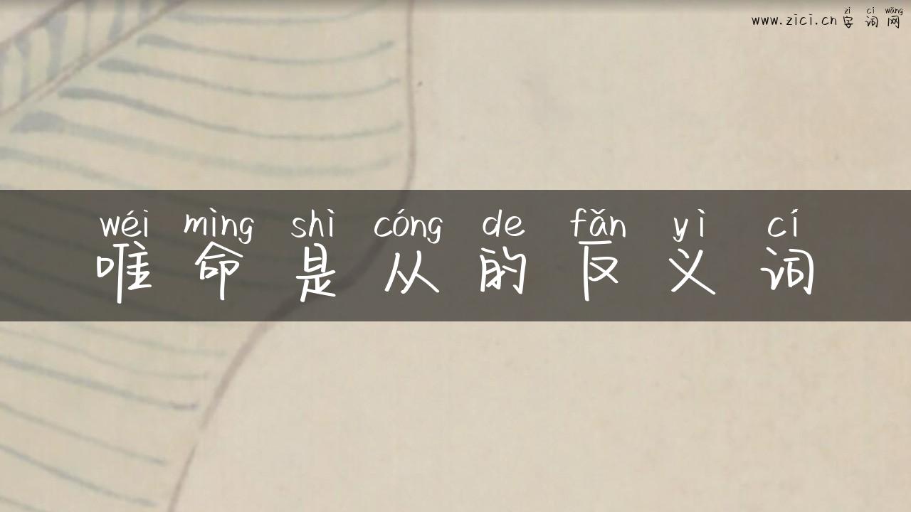 唯命是从的反义词