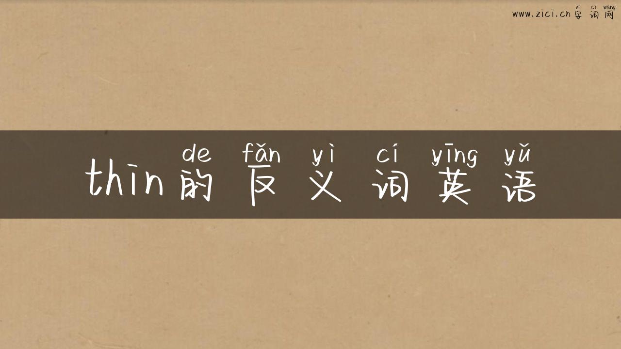 thin的反义词英语